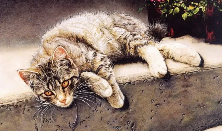 Краткое содержание: Кот Иваныч
